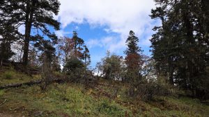 四川省・の写真 亞丁転山2-11