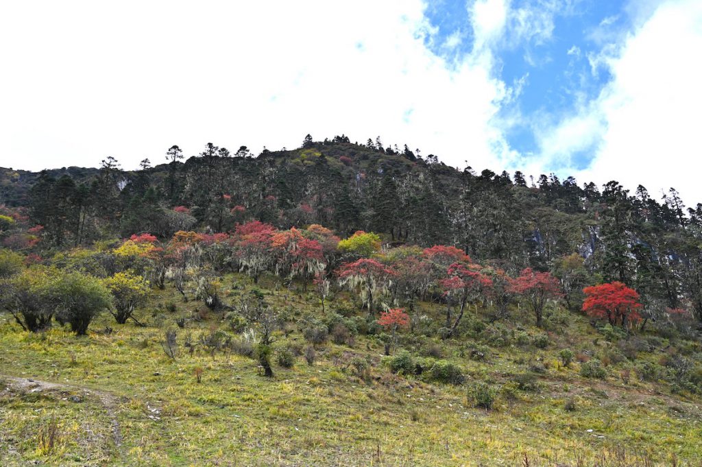 四川省・の写真 亞丁転山2-3