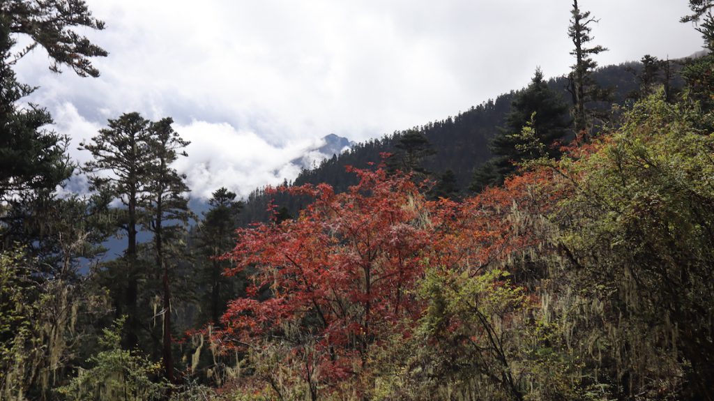 四川省・の写真 亞丁転山2-4