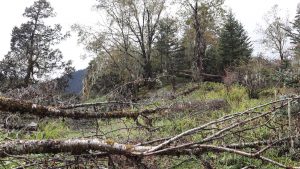 四川省・の写真 亞丁転山2-6