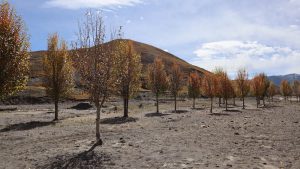 四川省・措普溝（ツォプコウ）と巴巴（ババ）海の写真　亞丁から白玉へ-11