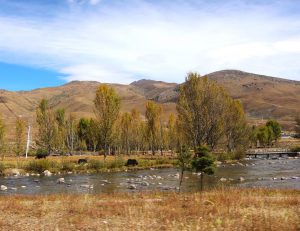 四川省・措普溝（ツォプコウ）と巴巴（ババ）海の写真　亞丁から白玉へ-8