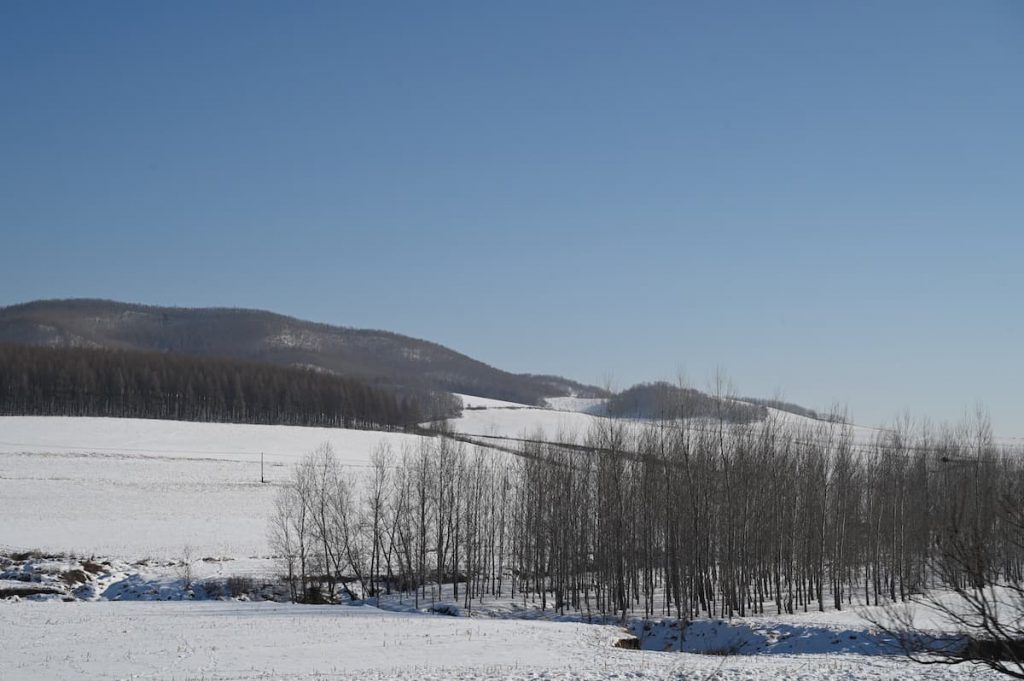 黒竜江省・の写真　冬の恋情その2-5-4