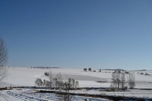 黒竜江省・の写真　冬の恋情その2-5-6
