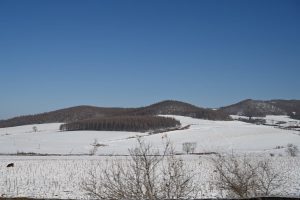 黒竜江省・の写真　冬の恋情その2-5-8