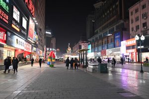 黒竜江省・の写真 冬の恋情その2-6-10