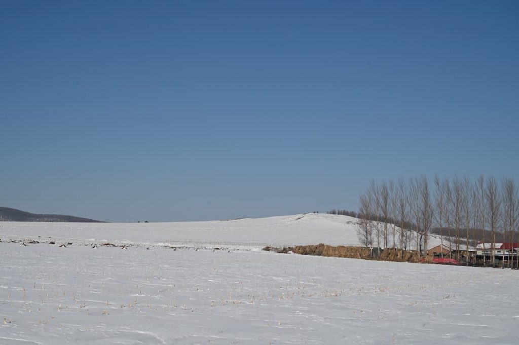 黒竜江省・の写真 冬の恋情その2-6-3