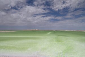 青海省・の写真 太陽と水と塩の神秘4-10