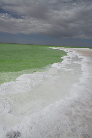 青海省・の写真 太陽と水と塩の神秘4-11