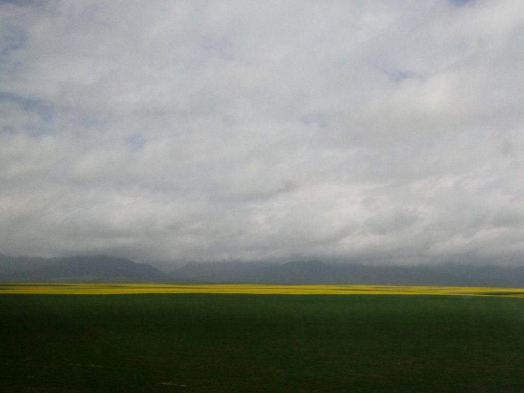 新疆ウィグル自治区・蘭州から烏魯木斉へ／烏魯木斉 ジュンガル盆地／砂漠の道 カナスへの玄関、布爾津／阿勒泰の深緑の谷の写真　烏魯木斉（ウルムチ）からカナスへ-1
