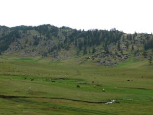 新疆ウィグル自治区・蘭州から烏魯木斉へ 烏魯木斉 ジュンガル盆地 砂漠の道 カナスへの玄関、布爾津 阿勒泰の深緑の谷の写真　烏魯木斉（ウルムチ）からカナスへ6-11