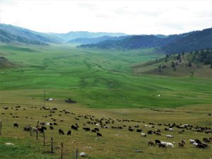新疆ウィグル自治区・蘭州から烏魯木斉へ 烏魯木斉 ジュンガル盆地 砂漠の道 カナスへの玄関、布爾津 阿勒泰の深緑の谷の写真　烏魯木斉（ウルムチ）からカナスへ6-6