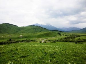 新疆ウィグル自治区・蘭州から烏魯木斉へ 烏魯木斉 ジュンガル盆地 砂漠の道 カナスへの玄関、布爾津 阿勒泰の深緑の谷の写真　烏魯木斉（ウルムチ）からカナスへ6-8