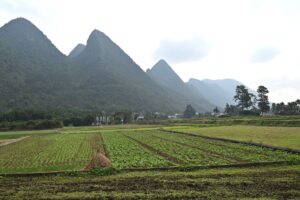 貴州省・黄果樹瀑布／妥楽（トゥオル）村／瑶族の村の写真　カルスト峰の林と古銀杏の村、大瀑布-9