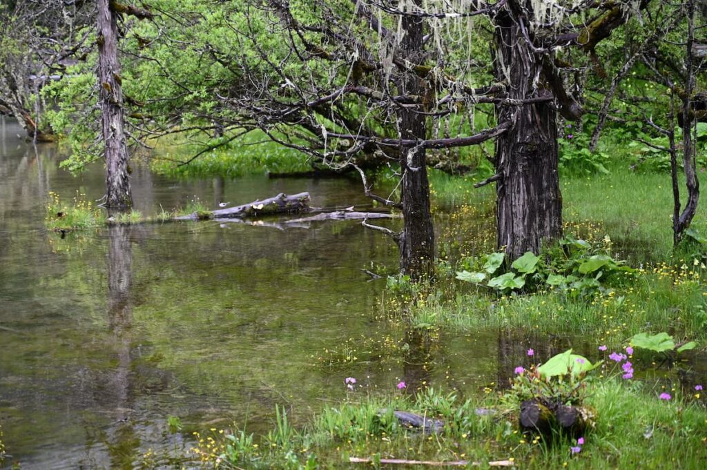四川省・の写真 四姑娘山(スクニャン山)の渓谷を歩き中路蔵寨を訪ねる2-4