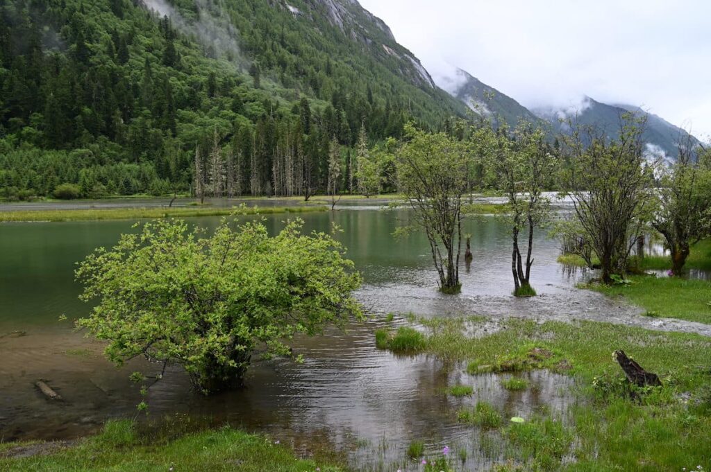 四川省・の写真 四姑娘山(スクニャン山)の渓谷を歩き中路蔵寨を訪ねる2-5