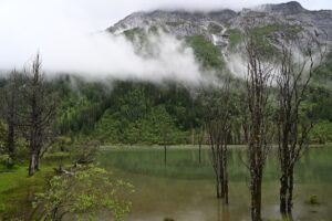 四川省・の写真 四姑娘山(スクニャン山)の渓谷を歩き中路蔵寨を訪ねる2-9