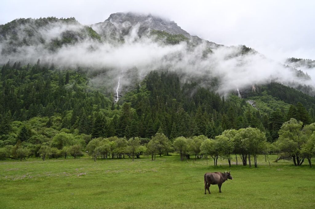 四川省・の写真 四姑娘山(スクニャン山)の渓谷を歩き中路蔵寨を訪ねる3-1