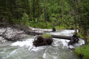 四川省・の写真 四姑娘山(スクニャン山)の渓谷を歩き中路蔵寨を訪ねる3-8