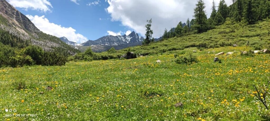 四川省・甲玉拉措、玉科草原、墨石公園、雅安碧峰峡、蒙頂山の写真　甲玉拉措と玉科草原からパンダとお茶の故郷へ-1
