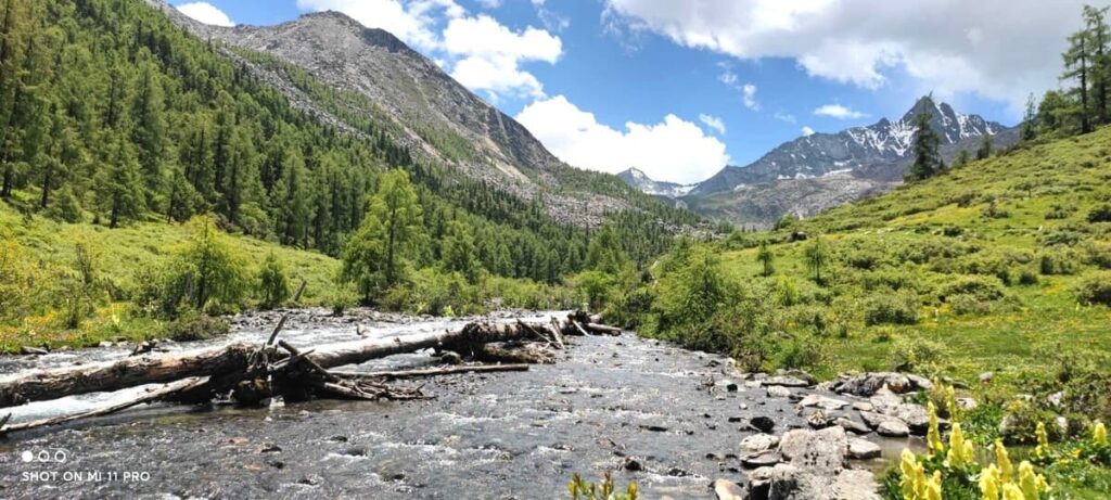 四川省・甲玉拉措、玉科草原、墨石公園、雅安碧峰峡、蒙頂山の写真　甲玉拉措と玉科草原からパンダとお茶の故郷へ-3