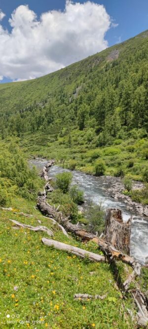 四川省・甲玉拉措、玉科草原、墨石公園、雅安碧峰峡、蒙頂山の写真　甲玉拉措と玉科草原からパンダとお茶の故郷へ-7