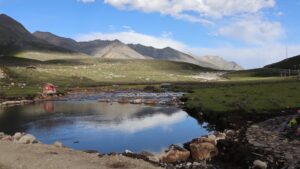 四川省・の写真　甲玉拉措と玉科草原からパンダとお茶の故郷へ2-10